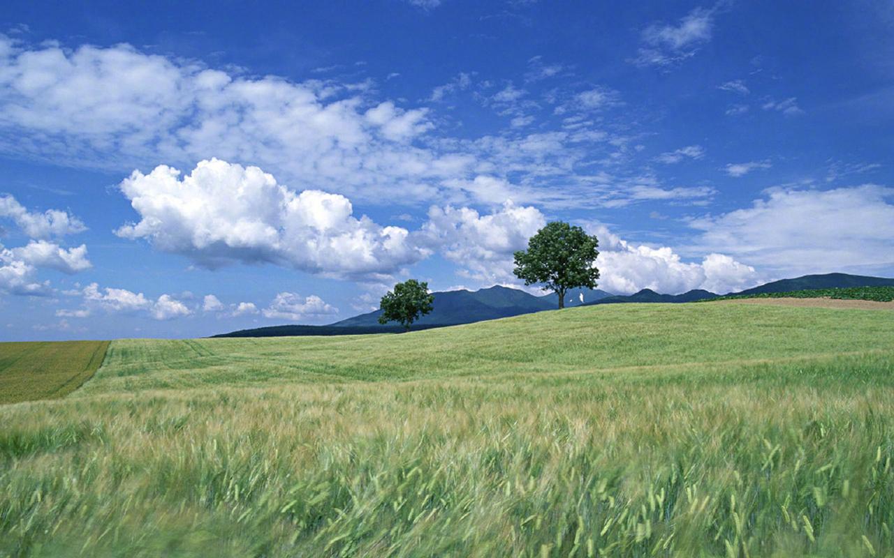 关于Task定时任务的一些事